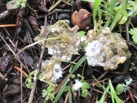 25040204-668D-4BC4-9E44-6CE474AB80B0.jpeg
