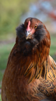 1F393D5F-D244-4E61-A18D-E831C54C5F47.png