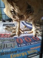 IMG_20190121_151016682.jpg