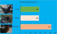 1 year production.jpg