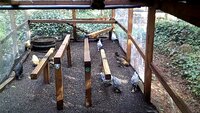 IMG_0027.jpg