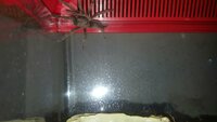 20150916_145146.jpg