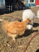 3B6E587C-017F-461E-8714-DC926098BB57.jpeg
