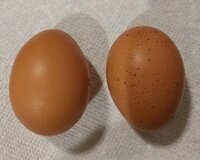 20190123_181154_crop_610x489.jpg