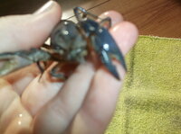 DSCF5779.JPG