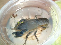 DSCF5782.JPG