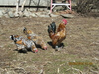 IMG_0171.JPG