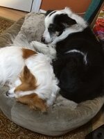 snooze.jpg