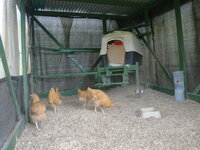 DSC04441.JPG