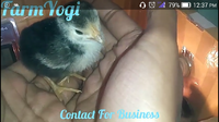 Screenshot_2019-01-25-12-37-54.png