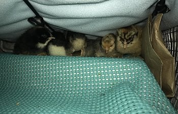 IMG_5558.jpg IMG_5558.jpg