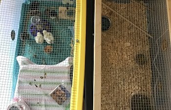 IMG_5603.jpg