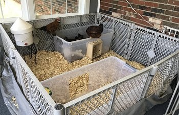 IMG_8049.jpg IMG_8049.jpg