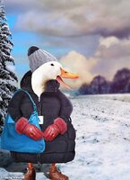 Duck-Dressed-in-a-Hat-and-Jacket-in-the-Snow--126735.jpg