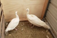 20190126_095449.jpg 20190126_095449.jpg