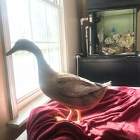 IMG_1041.jpg