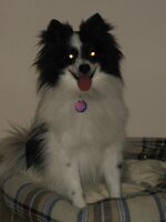 IMG_0535.jpg
