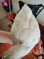 20190127_103526.jpg