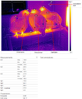 chicken coop roosting 1-27-19.png