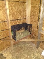 IMG_20190127_180723171.jpg