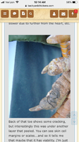 5F9F08BD-4C36-46DA-95C9-D08D494C5847.png