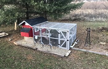 Our Daisy Coop Build