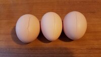 20190121_094847.jpg