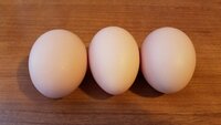 20190121_100323.jpg