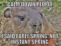 4C49919B-4AD6-43A1-A76B-BB221F2624E2.jpeg