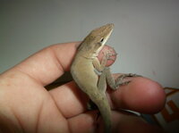 DSCF5817.JPG