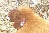 20190202_092056.jpg