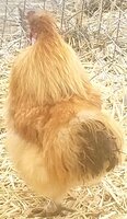 20190202_092131.jpg