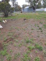 20181014_152233.jpg 20181014_152233.jpg