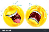 images3.jpg