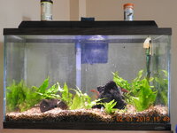 DSCN1434.JPG
