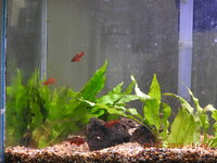 DSCN1435.JPG