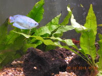 DSCN1449.JPG