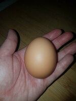 20190204_092112.jpg