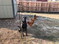 IMG_4305.JPEG