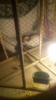 IMG_20190204_212252.jpg