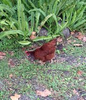 IMG_20181104_072908642.jpg