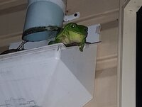 20190205_215649.jpg