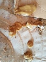 20190205_094348.jpg