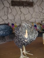20190205_092933.jpg