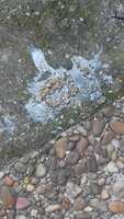 20190206_134955.jpg