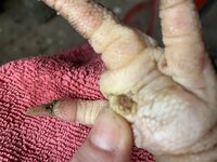 IMG_1874.jpg
