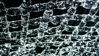 ice net closeup (3 of 1).jpg