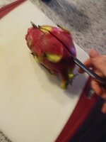 20190207_081958.jpg