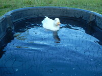 DSCN4074.JPG