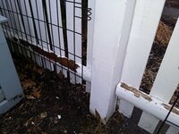 IMG_20190207_160845423.jpg